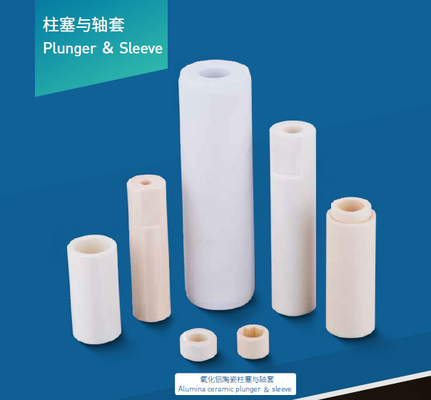 Aanpasbare industriële keramische onderdelen Plunger & Sleeve